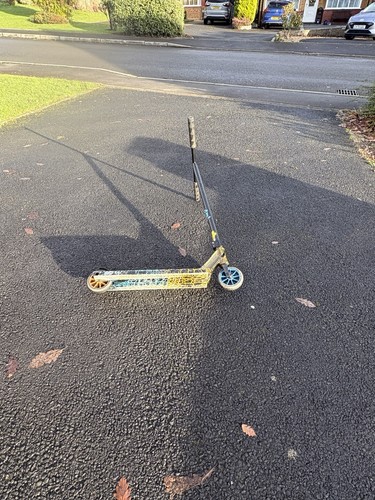 Good quality scooter dog - good,