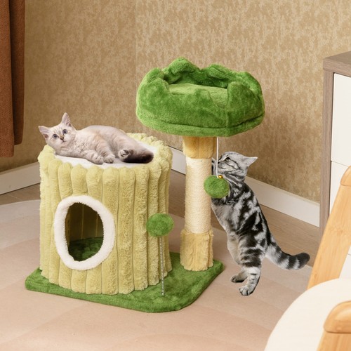 Modern small cat - modern,