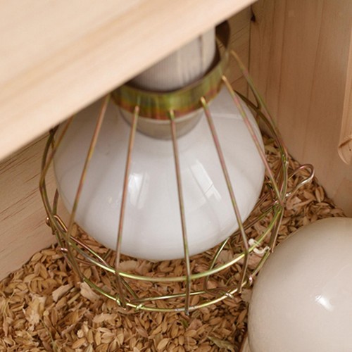 Reptile heat lamp guard - heat,