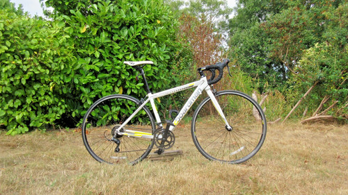 Boardman road sport junior - junior, /