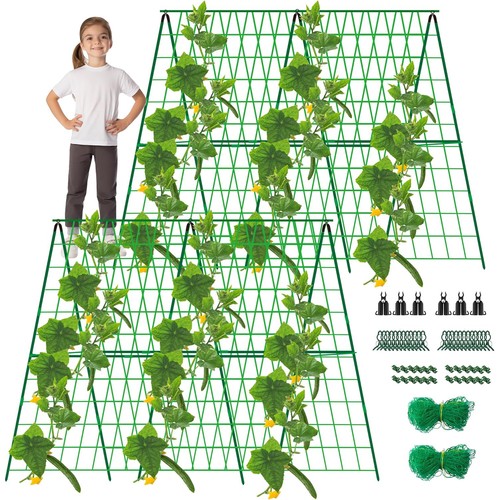 48x48 inch garden cucumber - 48x48,