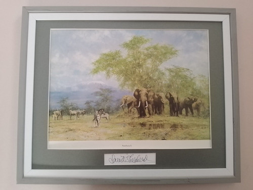David shepherd print - david,