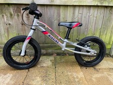 Wiggins Pau Children's Balance