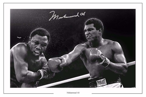 Muhammad ali signed photo - muhammad,