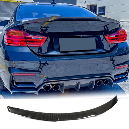 Carbon fiber rear - fiber,