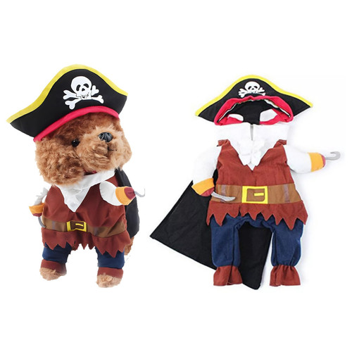 Dog cat pet pirate - cat,
