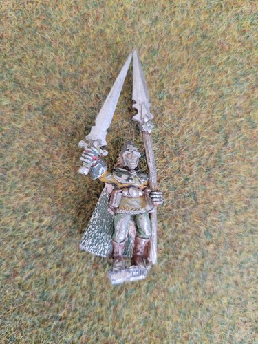Warhammer citadel wood elf - warhammer,