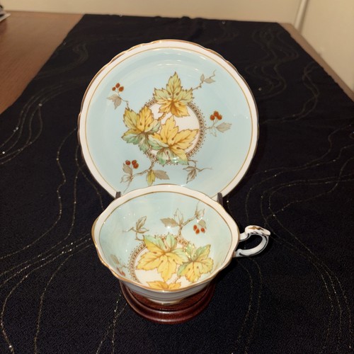 Vintage paragon bone china tea - bone,