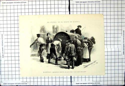 Antique old print fresh - print,