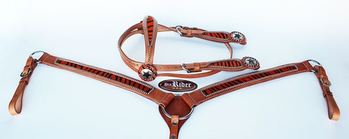 Horse show tack bridle - horse,