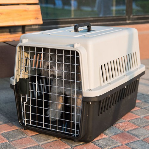 Large dog cat carrier - large, /