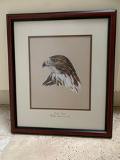 Hawking Falconry painting Red Tailed Hawk Framed 