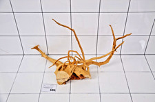 Premium aquarium natural wood - natural,