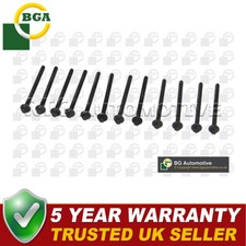 BGA Cylinder Head Bolt Set