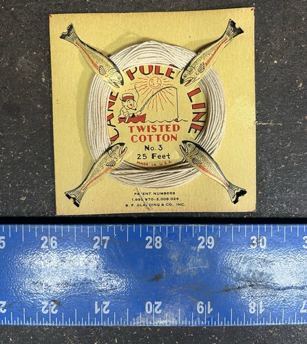 Vintage cane pole fishing - pole, line
