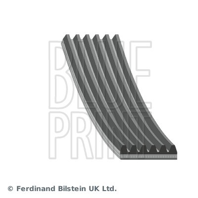 Ribbed belt blue print - v-ribbed,