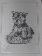 Vintage Original Sketch