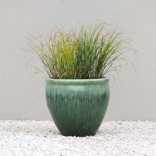 Primrose glazed terracotta - primrose,