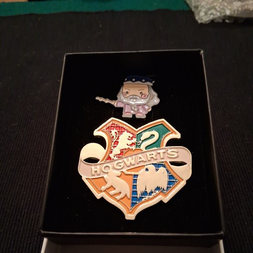 Harry potter pin - potter,
