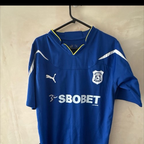 Cardiff city academy home - city,
