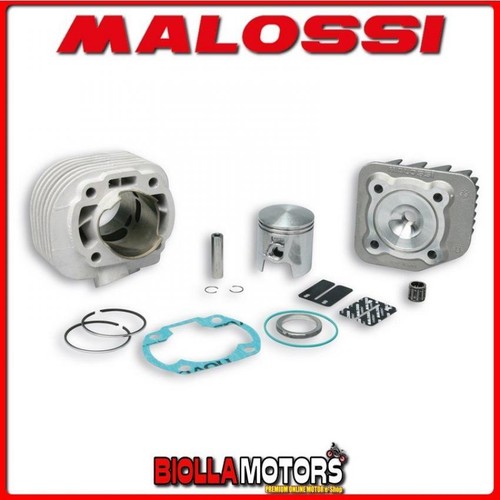 318437 cylinder kit malossi - 318437,