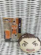 Haikyuu Karasuno Azumane Asahi Standee Plush Ace Wing Spiker Haikyu From Japan