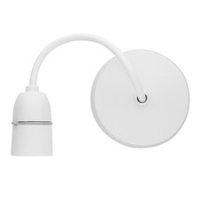 Ceiling Rose Light And Pendant