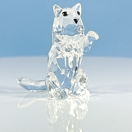 Boxed swarovski cat begging - boxed,