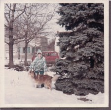 VINTAGE PHOTOGRAPH COLLIE