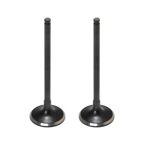 Pair exhaust valve kit - exhaust,
