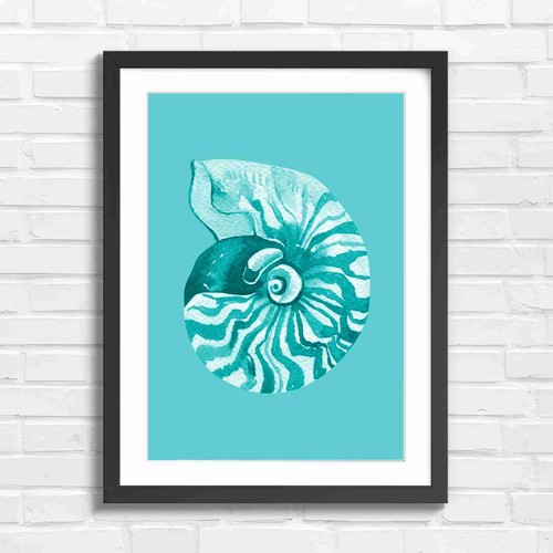 Vintage nautilus shell art - nautilus,
