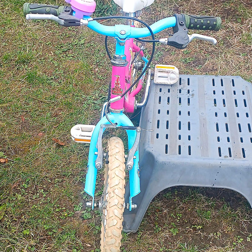 Raleigh sunshine 20in girls - raleigh,