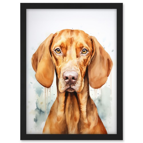 Hungarian vizsla dog - hungarian,