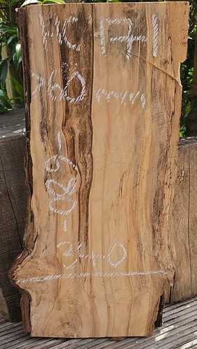Spalted chestnut live edge - live,
