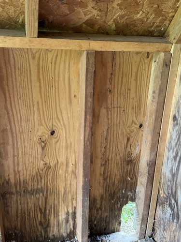 Gray wood outdoor garden - outdoor, shed