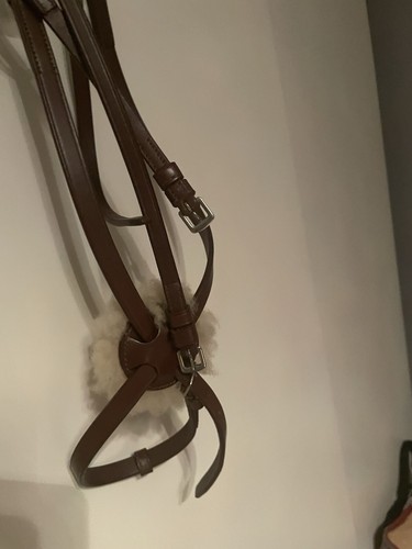 Pony grackle bridle - bridle, brown