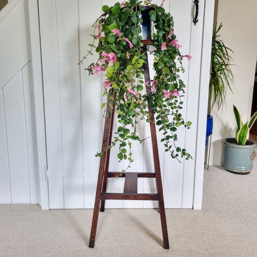 Arts crafts tall plant stand - plant,