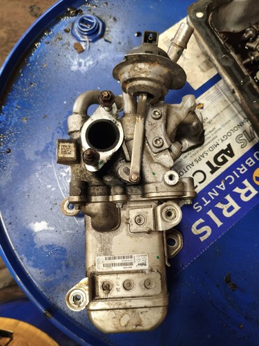 Renault genuine valeo egr - renault,