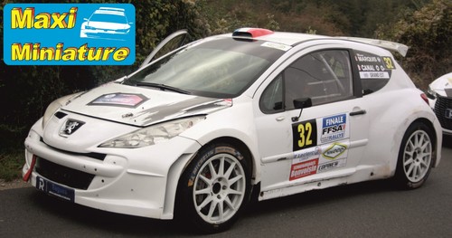 43rd peugeot 207 s2000 - peugeot,