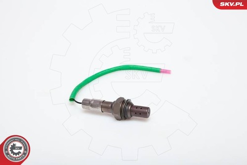 For skv germany 09skv901 - germany,