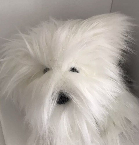 Dulux dog puppy blue - blue, collar