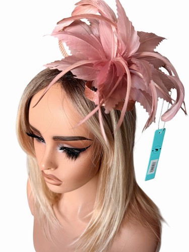 Dusky pink feather - pink,
