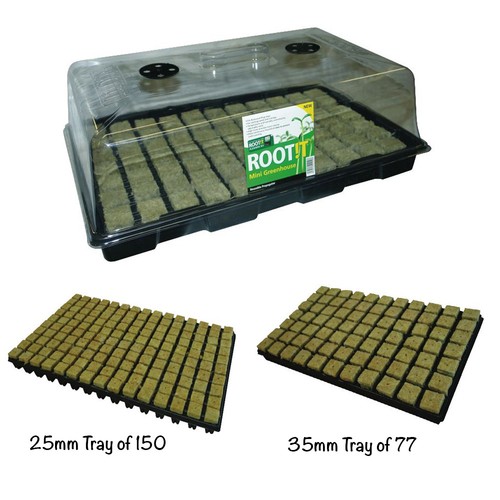 Root propagation or 150 - it,