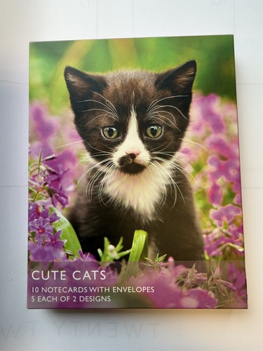Pack cute cats notecards - 10,