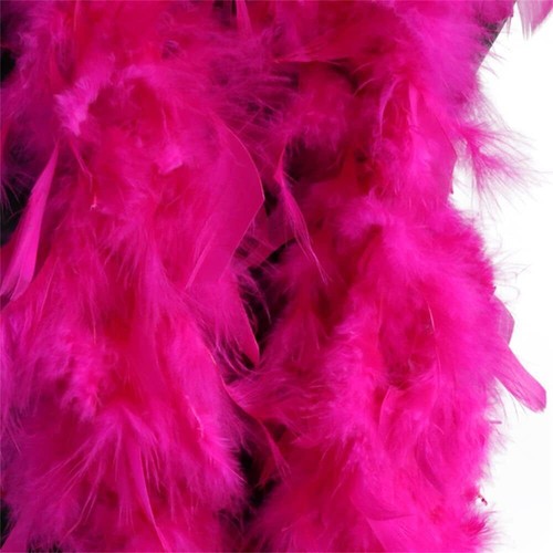Feather boa costume - feather,