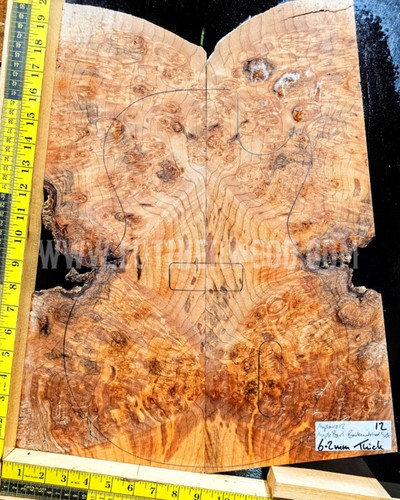 Maple burl guitar - guitar, set
