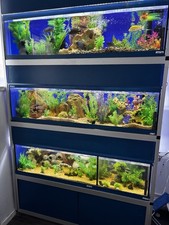 Fish Tank Racking System Full