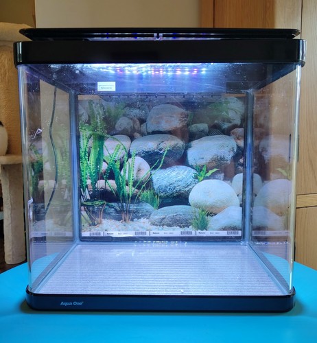 Aqua one fish - aqua, tank