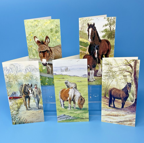 Pack horse pony donkey - &,