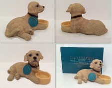 Leonardo Collection Golden